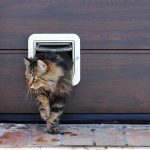comment installer chatière sur porte en bois