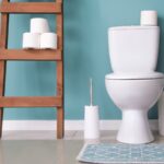 toilettes bouchées